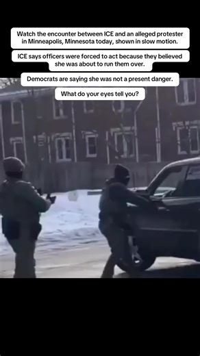 ICE Encounter with Alleged Protester in Minneapolis