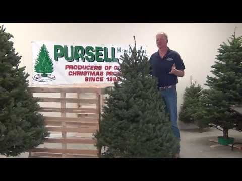 Christmas Tree Display Arms