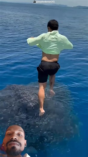 Man Catches Fish Using Only His Shirt 😲🐟 #facts #shots...