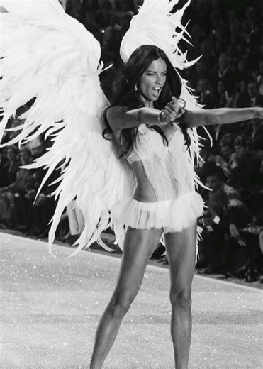 Exploring Storm Models Across Various Countries