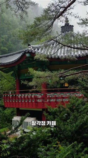 🇰🇷 정선 숲속에서 만나는 팔각정 카페 | 정선 가볼만한곳 | 국내여행