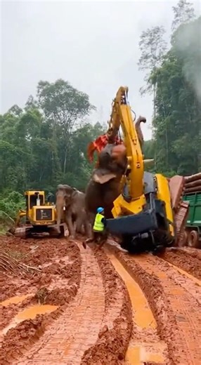 Elephant FLIPS Excavator like a Toy! 🐘🚜💥 (Beast Mode)
