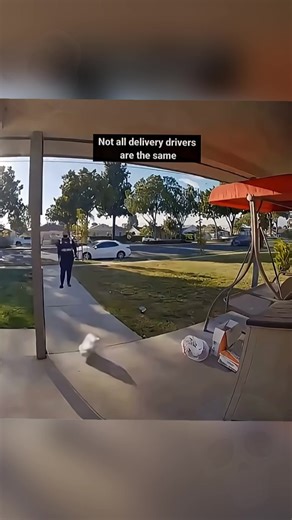 #tiktok #fyp #trend | fedex vs ups