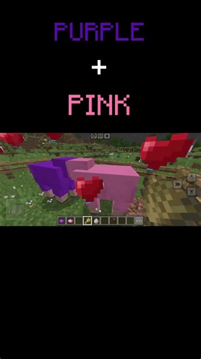 PURPLE + PINK =??? #minecraft #sheep #color