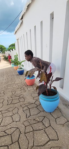 Walking Gorilla Hassan | Contact Key WhatsApp 255718756740