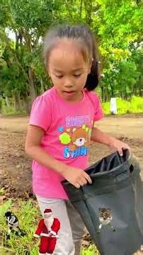 Shine Community Service Project