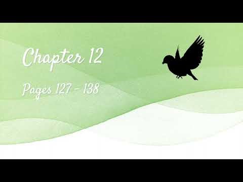 "To Kill A Mockingbird: A Graphic Novel" Chapter 12