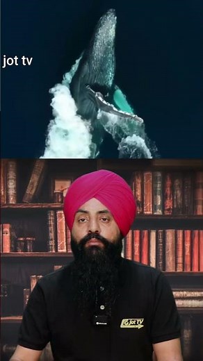 The Ocean's Giant: Amazing Facts About Blue Whales 🐳🌊#BlueWhale #OceanGiants #MarineLife #Wildlife