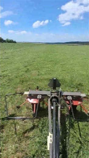 Tedding our alfalfa with our international 656 and pequea 26x hay tedder