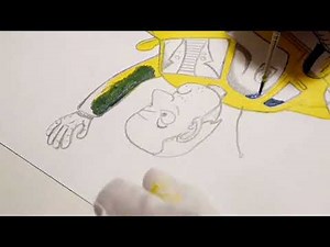 How to Draw Adorable Car-Human Characters (Step by Step)