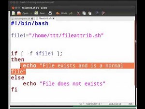 String and File attributes - English