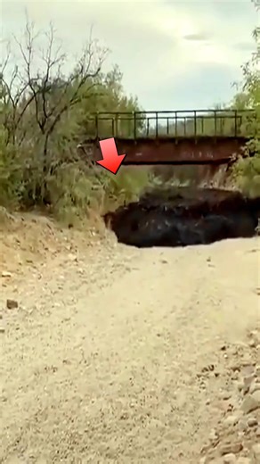 #mystery #newyok #foryou #usa #omg #fyp