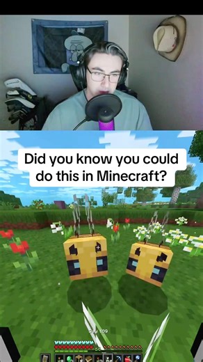 When did you know you could do this? #minecraft #cute #bee #java #twitch
