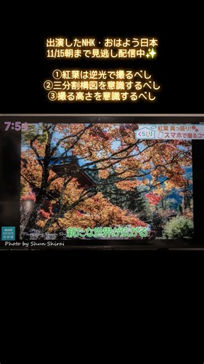 昨日出演したおはよう日本、11/15朝までNHK ONEで見逃し配信中なのでよかったらご覧ください👇️ https://www.web.nhk/tv/pl/series-tep-7Y32J37JQN/ep/NL2GX78W6W 私が出演している「くらしり」のコーナーは19分25秒～です。 配信期限は11月15日(土)午前7:59まで。 スマホで紅葉を撮るコツが今回のテーマですが、写真撮影の基本はスマホでも一眼でも一緒なので参考になれば嬉しいです☺️ ぜひご感想をお待ちしてまーす♪ #栃木 #日光 #中禅寺湖 #中禅寺 #紅葉 #栃木県 #日光市 #市川 #千葉 #松戸 #空 #青空 #sky #おはよう日本 #上村陽子 #ダレカニミセタイソラ #ダレカニミセタイケシキ #写真好きな人と繋がりたい #写真撮ってる人と繋がりたい #ダレカニミセタイフウケイ | Shun Shirai