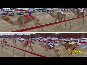 مهرجان ولي عهد دبي -حول وزمول قبائل 10-2-2020 م ش5 الشامخه لـ عيسى علي سعيد المنصوري 12:32:1