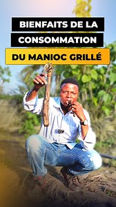 Les bienfaits de la consommation du manioc grillé. #Bienfaits #Manioc #Grillé | Agriculteurs Modernes