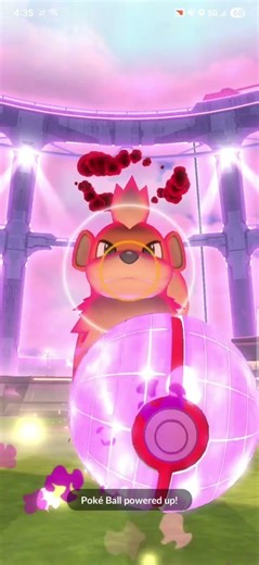 New Dynamax Arcanine