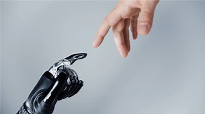 Species Spotlight: Humans