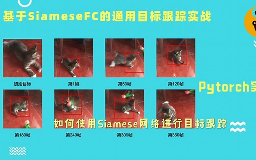 深度学习计算机视觉项目实战：Siamese目标跟踪