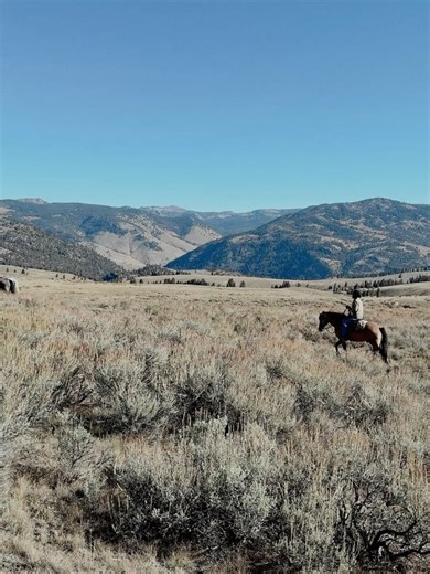 Christian Bendek on Reels