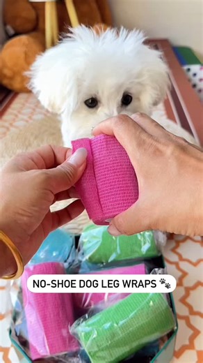 Paw love 🐾 on Instagram: "No-Shoe Dog Leg Wraps 🐾❄️ Say goodbye to dirty paws! These soft and secure leg wraps keep your pup’s legs clean and warm without the hassle of shoes. Perfect for winter walks—comfortable, protective, and stay in place! #PetEssentials #CleanPaws #DogLegWraps #WinterDogCare #DogWalking"