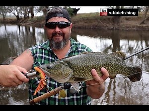 Murray Cod Opening 2017
