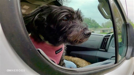 A decade of Dogs Matter: How this foster program has saved thousands of lives