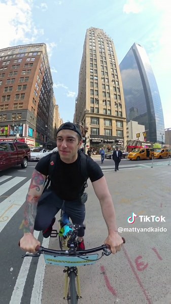 Kaido the Awoobulance: Clearing Paths with a Cute Australian Shepherd