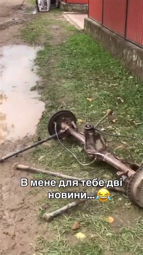 #shorts #shortvideo #short #смехпродлеваетжизнь