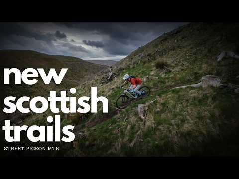 These Scottish Trails Are Hiding In Plain Sight! Wellshot MTB