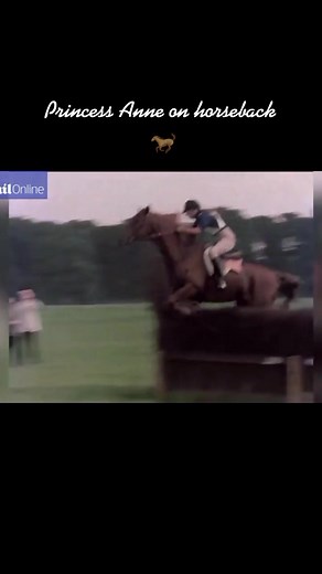 princess Anne fanpage sur TikTok