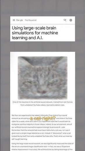 Sundar Pichai on AI psychosis