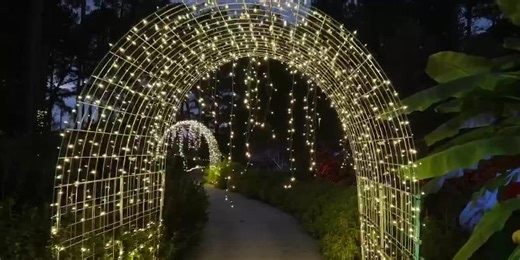 Longview Arboretum lights up for holidays with new walk-through display