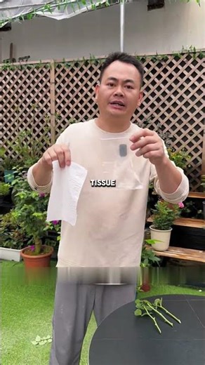 Easiest Way to Root Flower Branches at Home 🌱 #Gardening #PlantPropagation #DIYPlants #rose