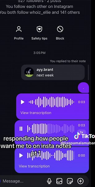 Exploring Instagram Notes: What You Want to See!