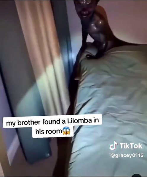 Discovering a Lilomba: A Fascinating Encounter