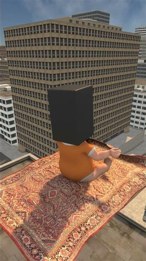flying carpet #funny