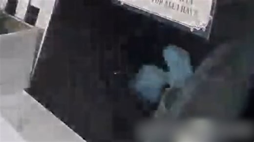 Alien-like creature walking by porch captured by Ring camera