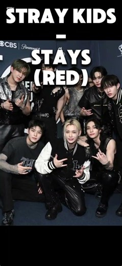 kpop groups and fandom names and color #kpop #edit #blackpink #bts #straykids #babymonster #