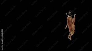 Deer Dancing, 3d rendering, Animation Loop, cartoon, included in the end of the clip with Alpha matte. Stock Video