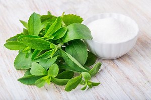 Stevia - The sugar replacement plant that doesn't cause cavities