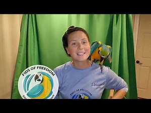 Beginner Clicker and Targeting training