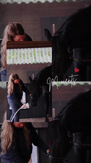 Herken Signalenen en Ondersteuning bij Vitaliteit voor Mens en Paard