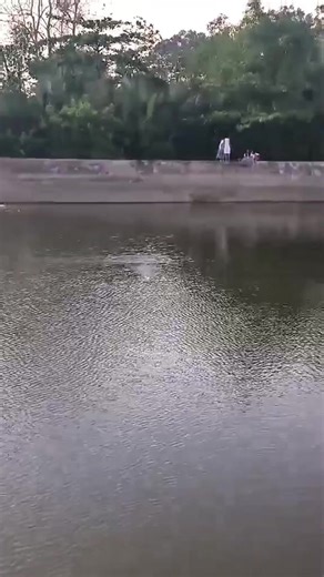 Swim Test of 4-Blade Stainless Steel Propeller