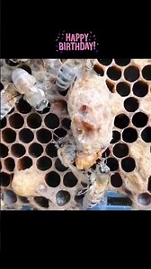 New queen!!!!!! I need to get me a green pen now 🤔🤔 Did you know that there is a universal colour