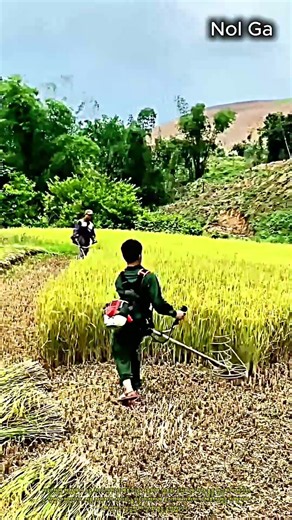 수동 예초기로 잔디 및 잡초 깔끔하게 정리하는 방법 #worker #process #lawnmower #gardening #lawncare