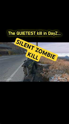 How to Kill Zombies Silently in DayZ (No Damage) 👀