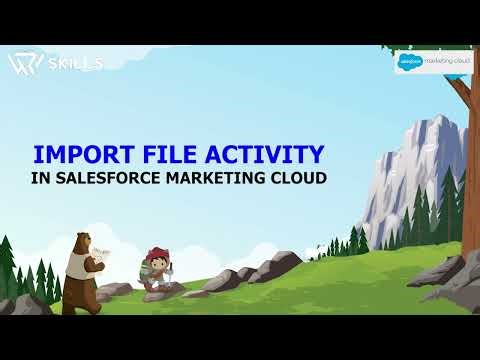 Import File Activity in Salesforce Marketing Cloud (SFMC) | Peoplewoo Skills