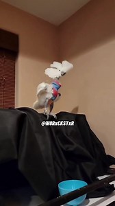 145K views · 5.1K reactions | Play This When It’s Time To Eat!  RxCKSTxR Comedy Voiceover! #trendingmemes #funnyvideos #voiceovers #memesdaily #foryoupage #wholesomememes #rxckstxr #comedycentral #funnyvideos #comedy #memesdaily #comediante #comedyreels #foryoupage #comedian | Rxckstxr | Facebook