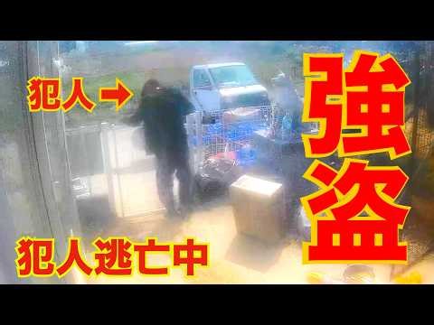 【強盗事件】犯人逃走！防犯カメラ映像公開 ライブ19時配信